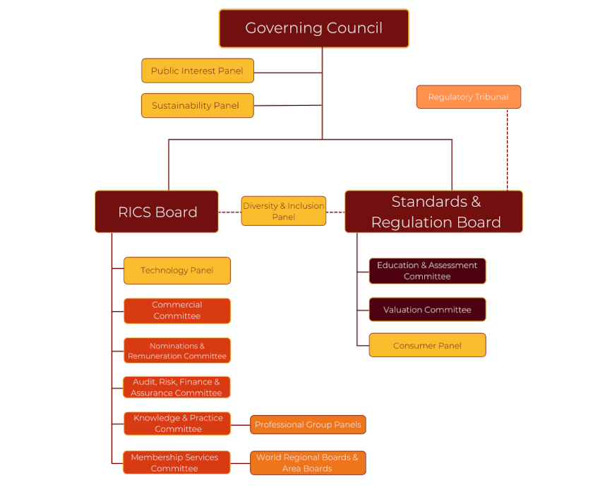 Bichard RICS Governance Structure (002)